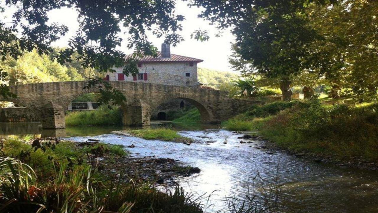 Le Gite Du Moulin De Gramont ビダッシュ エクステリア 写真